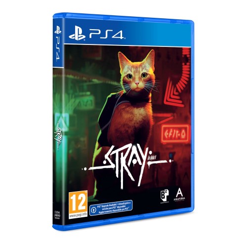 Stray
